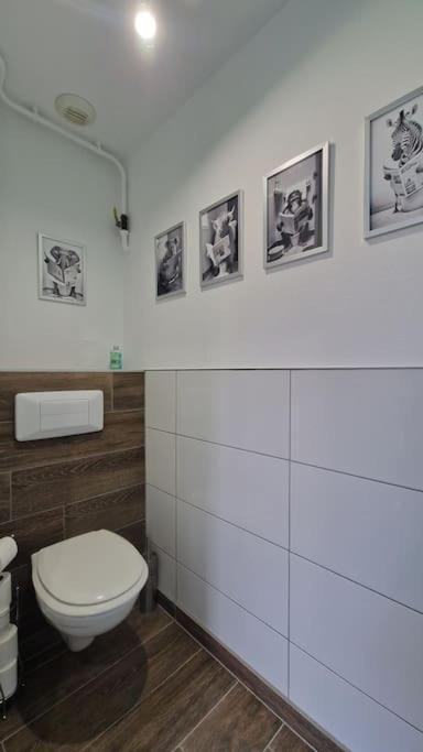 Appartement Modern Jungle - Colmar Extérieur photo
